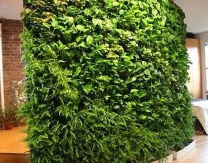 凯里立体绿化材料的植物搭配设计
